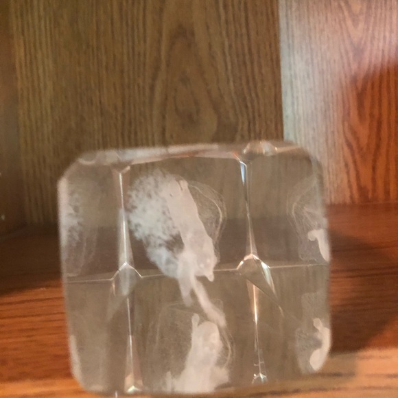 3D Etched Glass wolf - Picture 4 of 6